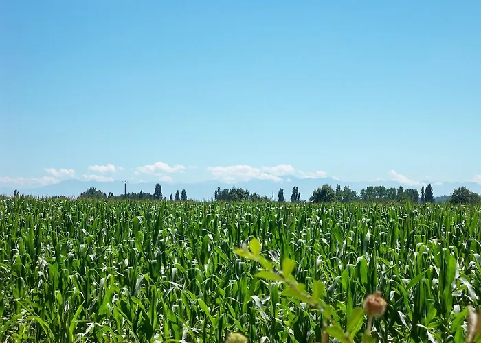 度假居 3, Domaine Logis Gascogne *